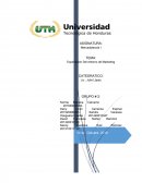 Exploración Del entorno de Marketing.