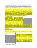 Síntesis del grupo Hem