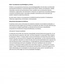 Dolor: Correlaciones neurofisiológicas y clínicas