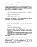 Como usar Geo Gebra.