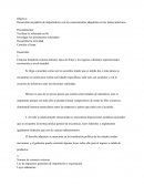 Los platanos. Empresa frutafresh exporta distintos tipos de frutas y los ingresa a distintos supermercados reconocidos a nivel mundial.