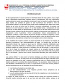 La diversidad en las Organizaciones.