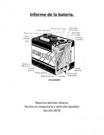 Informe de la batería.. Página 1
