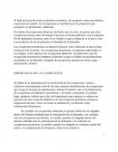 IMPORTANCIA DE LA CLASIFICACIÓN