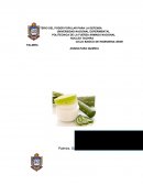 Elaboración de un Shampoo A Base de Aloe Vera (Sábila)
