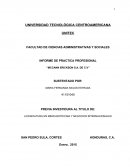 INFORME DE PRACTICA PROFESIONAL “MCCANN ERICKSON S.A. DE C.V”
