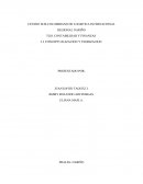 CONTABILIDAD Y FINANZAS 3.3 CONCEPTUALIZACION Y TEORIZACION