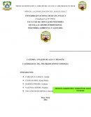 ANÁLISIS DE AGUA Y DESAGÜE