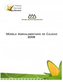 Propósitos, Principios y Valores del Modelo