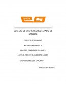 En este materia vimos varias partes de una computadora tanto lo software como lo hardware nos dieron dos libros uno de “Opera e Equipo de Computo (OEC)”