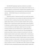 DOLARIZACION: Según algunos especialistas, la dolarización es un problema únicamente monetario y dicen que la misma se refiere a cualquier moneda extranjera que se usa junto a la moneda local