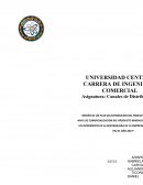 CANALES DE DISTRIBUCION. “MAGNUS ANDINO