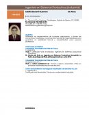 Ingeniero en Sistemas Productivos (Industrial).