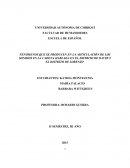 FENÓMENOS QUE SE PRODUCEN EN LA ARTICULACIÓN DE LOS SONIDOS EN LA CADENA HABLADA EN EL DISTRITO DE DAVID Y EL DISTRITO DE LORENZO
