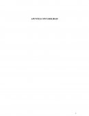 Apuntes contabilidad verticales JUEGOS IBIZA S.A