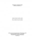 TRABAJO DE DIAGNOSTICO ORGANIZACIÓNAL