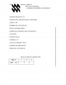 TRABAJO PRÁCTICO: N.1. Organizacion y metodos.