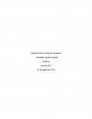 Auditoria sobre cuentas de resultados