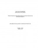 PREFACTIBILIDAD E IMPLEMENTACIÓN DE UN NUEVO NEGOCIO DE MINI DEPARTAMENTO