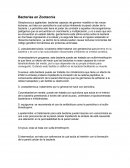 Bacterias en zootecnia