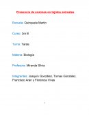 Presencia de enzimas en tejidos animales