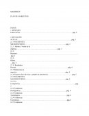 MAGBEKEY PLAN DE MARKETING