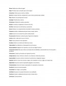 Conjunto de leyes y disipaciones a que se está sometida toda sociedad.