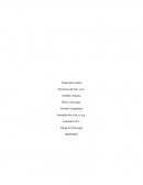 Señale las etapas del proceso de las RR. PP. y destaque la importancia de cada una de ellas.