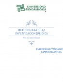 METODOLOGIA DE LA INVESTIGACION JURIDICA.
