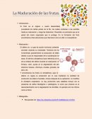 Maduracion quimica de los frutos