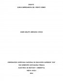 ENSAYO EURUS EMPRESARIOS DEL VIENTO CEMEX