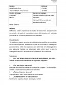 Reflexionar sobre la importancia del análisis del consumidor, la segmentación de mercado y la mezcla de mercadotecnia como determinantes en la estrategia publicitaria, así como de la planeación de la publicidad.