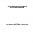 Proyecto agropecuario.