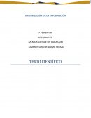 ORGANIZACIÓN DE LA INFORMACIÓN.