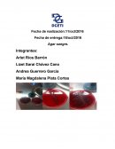 Practica de agar sangre.