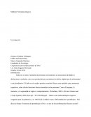 LoModelos Neuropsicológicos.