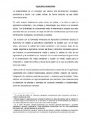 Una agricultura sustentable.