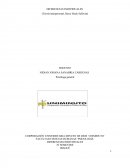 DIFERENCIAS INDIVIDUALES (Teoría interpersonal, Harry Stack Sullivan)