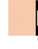 Cargas Impositivas Empresariales en el Ecuador