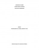 PSICOFISIOLOGÍA DE LA VISIÓN, AUDICIÓN Y TACTO..