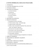 LA FACTURA CONFORMADA EN LA NUEVA LEY DE TITULOS VALORES