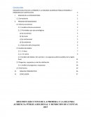 RESUMEN EJECUTIVO DE LA PRIMERA Y LA SEGUNDA AUDIENCIA PÚBLICA REGIONAL Y RENDICION DE CUENTAS 2015