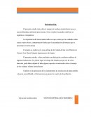 Tesis de basuras domiciliaria.