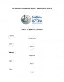 Ensayo EL BUEN PROFESIONAL