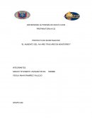 PROYECTO DE INVESTIGACION “EL AUMENTO DEL IVA AÑO TRAS AÑO EN MONTERREY”