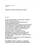 LABORATORIO REACIONES QUÍMICAS