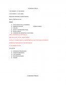 ECONOMIA SECTOR PUBLICO la importancia