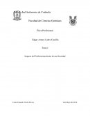 Impacto del Profesionista dentro de una Sociedad