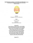 Deserción escolar en los centros educativos de básica y media