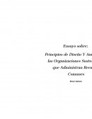 Ensayo sobre: Principios de Diseño Y Amenazas a las Organizaciones Sustentables que Administran Recursos Comunes